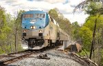 AMTK 176 crossing Mechums River Bridge